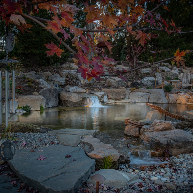 Evening Water Garden Tour 2022